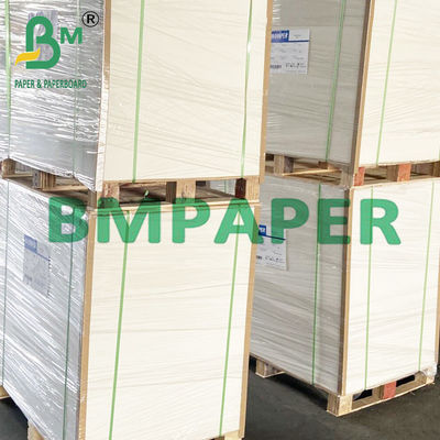 papel seguro de Cupstock de la comida de 190gsm 200gsm 210gsm para la comida caliente
