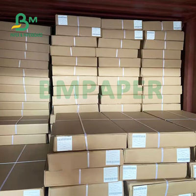 Modelo echado a un lado doble que dirige el rollo de papel para el formato amplio 24&quot; x 50 yardas