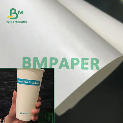Categoría alimenticia tablero de papel Rolls de la acción blanca revestida polivinílica de la taza 230g + 15g de 210/para el papel de cuenco de papel de la taza