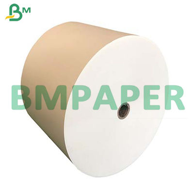 210g + 15g PE cubrieron el tablero de papel común de la taza del cuenco de los tallarines de la categoría alimenticia en rollo enorme