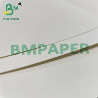 180gsm + 15g PE Tazón de fideos Tazón de papel para comida caliente