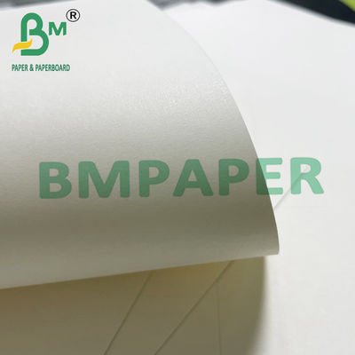 180gsm + 15g PE Tazón de fideos Tazón de papel para comida caliente