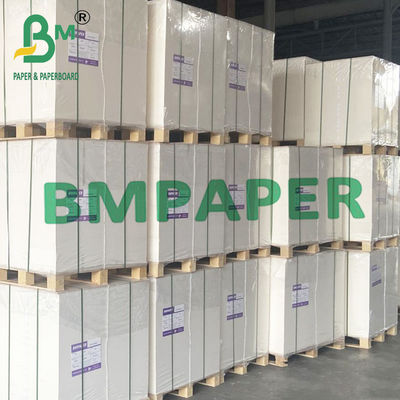 210g 230g PE cubrió la categoría alimenticia de papel baja común de la taza para el cuenco de los tallarines