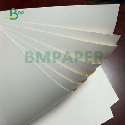 Tablero de papel de capa de la acción de la taza del cuenco de los tallarines del PE 1 PE 2 para los envases de comida 255gsm 275gsm