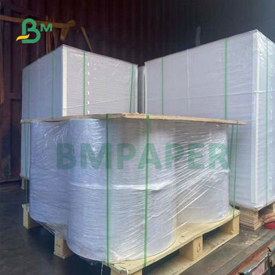 Tablero de papel de capa de la acción de la taza del cuenco de los tallarines del PE 1 PE 2 para los envases de comida 255gsm 275gsm