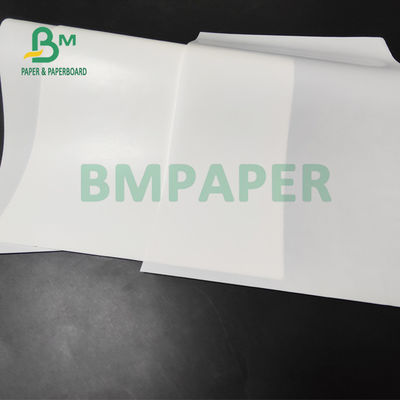 65 g 70 g Papel de alta resistencia al húmedo para etiquetas de botellas de cerveza