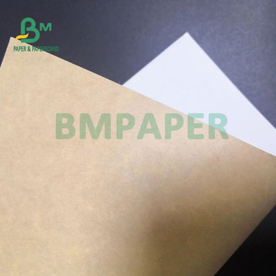 300 gramos Tarjetas CKB de color blanco marrón para paquetes de alimentos congelados Buena rigidez 74 x 106 cm