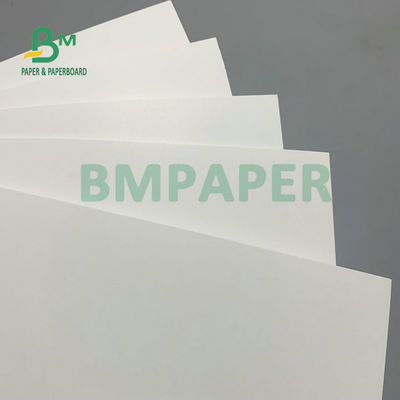 275gm + 15gm PE Polyboard 1 lado PE Revestido con Freno