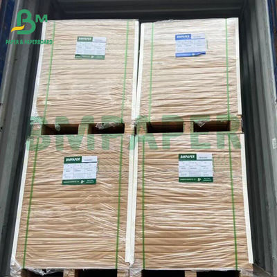 Papel absorbente sin revestimiento blanqueado de dos lados
