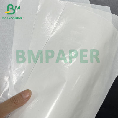50 gsm + 10 gsm Papel alimenticio kraft blanco con recubrimiento en PE brillante de un solo lado