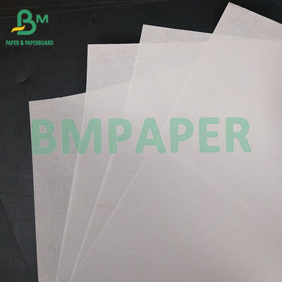 Papel sin madera para varios libros y libros de texto