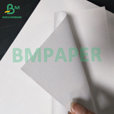 Papel sin madera para varios libros y libros de texto