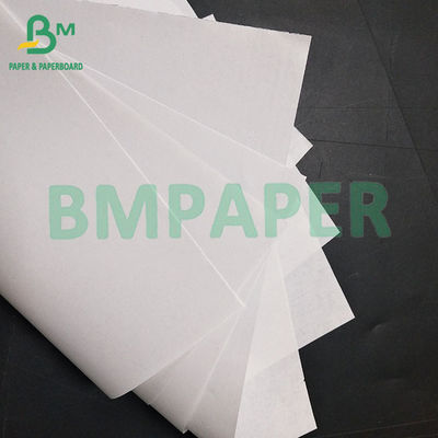Papel sin madera para varios libros y libros de texto