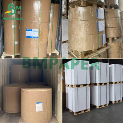 35gm 40gm Papel de protección contra el aceite Papel blanco a prueba de grasa en carretes Tamaño personalizado para envoltura de alimentos