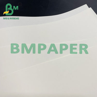 Papel de impresión en color cremoso sin recubrimiento de 61 x 86 cm para libros escolares