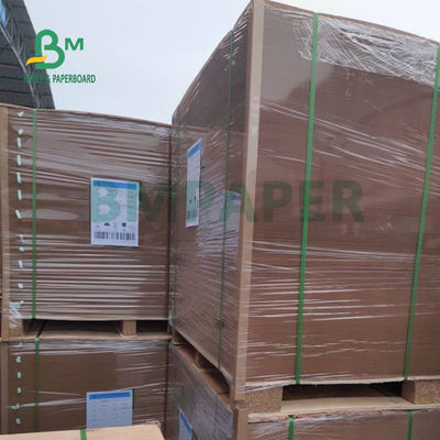 300 gm + 15 g de papel kraft recubierto en PE para bandejas de alimentos Buena rigidez 700 x 1000 mm