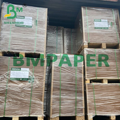 Envases de cartón laminado de papel kraft marrón PE para recipientes de alimentos