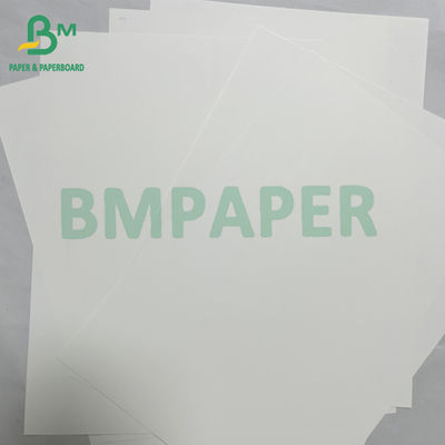 180mic Material de cartel de papel sintético de PET impermeable y suave