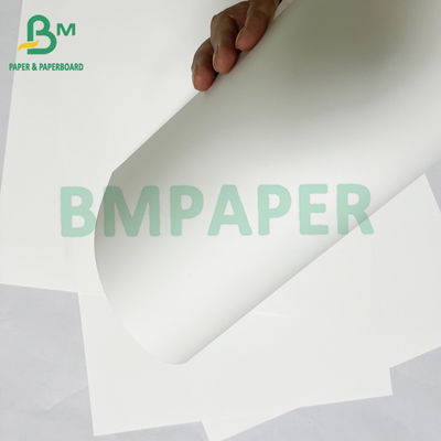 180mic Material de cartel de papel sintético de PET impermeable y suave