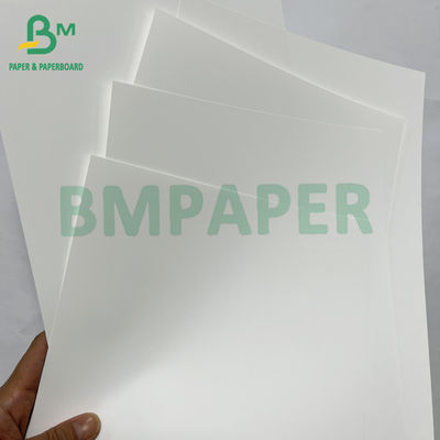 180mic Material de cartel de papel sintético de PET impermeable y suave
