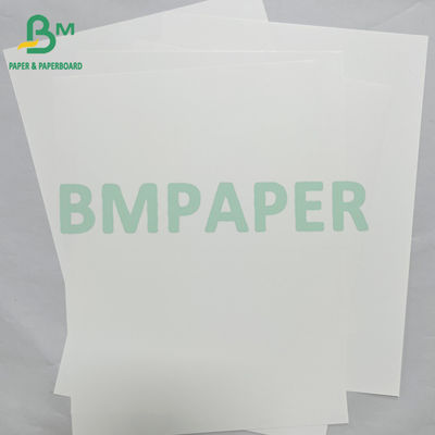 180mic Material de cartel de papel sintético de PET impermeable y suave