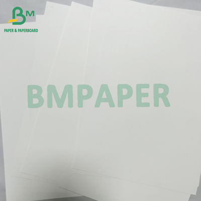 Papel sintético PET resistente a las lágrimas de impresión digital impermeable de 200mic