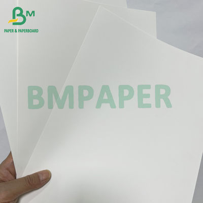 Papel sintético PET resistente a las lágrimas de impresión digital impermeable de 200mic
