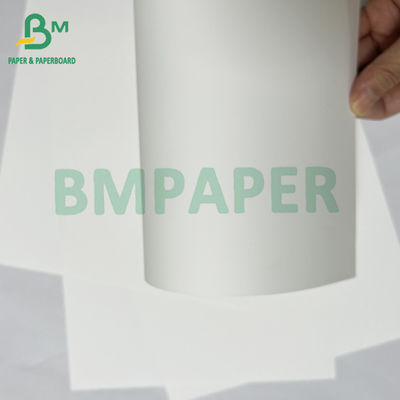 Papel sintético PET resistente a las lágrimas de impresión digital impermeable de 200mic