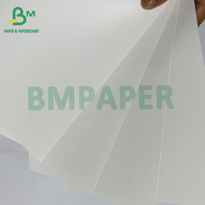 Papel sintético PET resistente a las lágrimas de impresión digital impermeable de 200mic