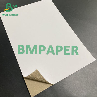 C1S Gray Back Paper Board 350gm 450gm 22 x 26 pulgadas cada marca cada 100 / 200 hojas