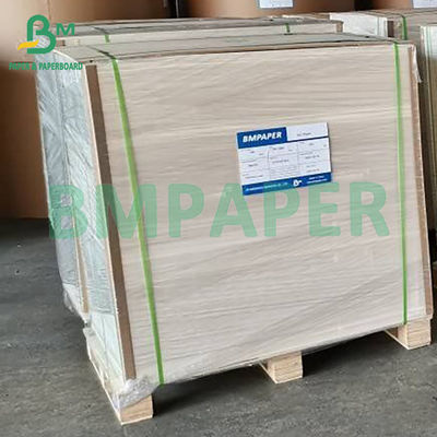 Bolsa de papel de compras limpia para el medio ambiente