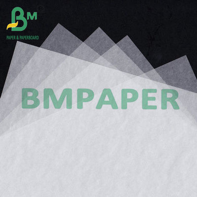 Hojas de papel de vidrio translúcido de 8 x 11,5 pulgadas para proteger las fotos