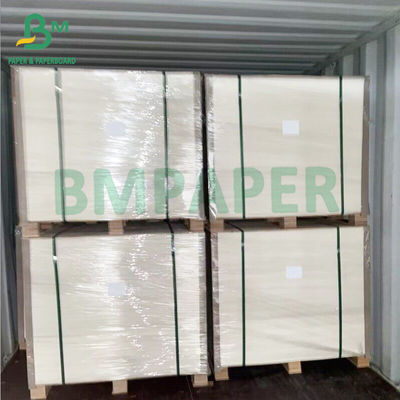 250gm Kit reciclable 6 Carpeta de blanqueador de alimentos a prueba de aceite para el embalaje de papas fritas