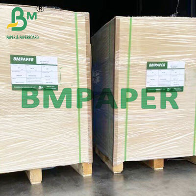 Papel de fibra de caña de azúcar ecológico de 90 ~ 360 gm para tazas desechables