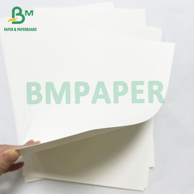 Buena impresión Papel de caja de alimentos de 350 gramos cartón de contenedor recubierto de blanco