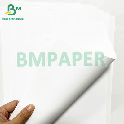 Impresiones profesionales de 20 libras en blanco de gran formato