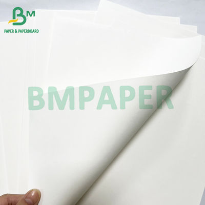 Papel de impresión de libros en color marfil Jumbo Roll 40lb 60lb Texto offset