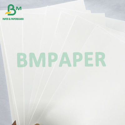 Papel de impresión de libros en color marfil Jumbo Roll 40lb 60lb Texto offset