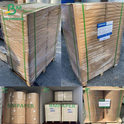 Papel blanqueador Papel blanqueador 0,4 mm 0,5 mm 0,6 mm 430 x 610 mm 500 hojas Envase de rebanada