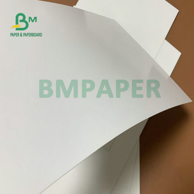 275 gm + 15 gm de hoja de cartón blanco recubierta en PE de 74 x 106 cm para cajas de embalaje congeladas