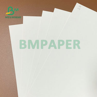 275 gm + 15 gm de hoja de cartón blanco recubierta en PE de 74 x 106 cm para cajas de embalaje congeladas
