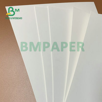 275 gm + 15 gm de hoja de cartón blanco recubierta en PE de 74 x 106 cm para cajas de embalaje congeladas