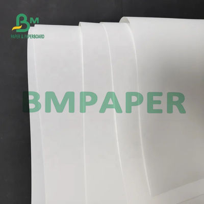 Papel sintético de color blanco resistente a las lágrimas para impresión por inyección de tinta