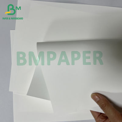 Hoja de papel sintético térmico y médico antialérgico de 180 micras.