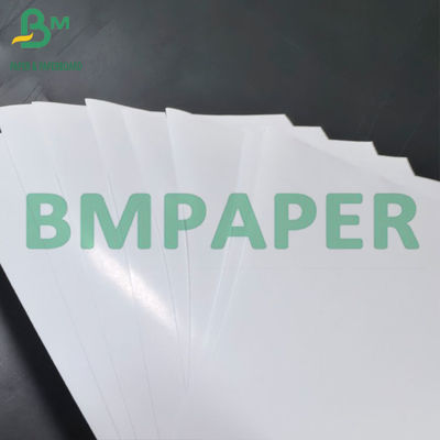 Papel adhesivo de PP blanco de 80um con papel brillante de recubrimiento de 80g para impresión con láser