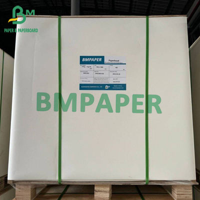 Papel blanco de calidad alimentaria congelado 15g Placas con recubrimiento PE individuales Personalizar hojas grandes