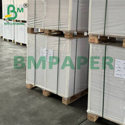38 - 40 gsm KIT 4-6 350 x 450 Papel a prueba de grasa para envoltura para el almuerzo