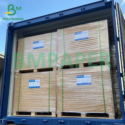 Papel impermeable a la grasa de alta transparencia y permeabilidad al aire para alimentos fritos envasados