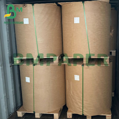 Papel de bolsas de mango marrón impermeable de 56 gramos para protección de la fruta contra los rayos UV