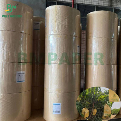 Bolsa de protección para el cultivo de mangos Brillante 30gm Interior papel negro Rollo a prueba de sol